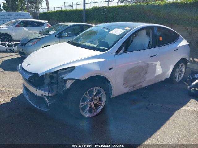2022 TESLA MODEL Y 7SAYGDEE2NF360019 Photo 1