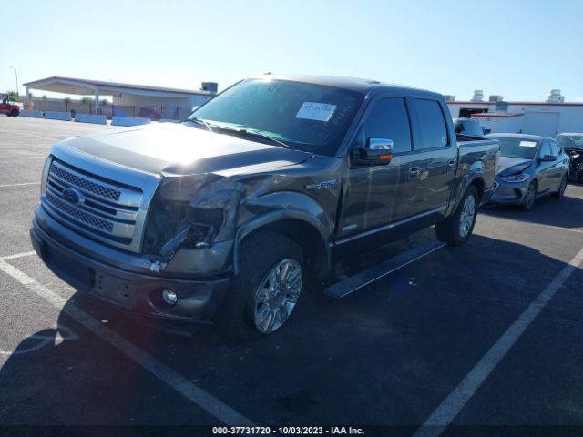 1FTFW1CTXEFB61478 Ford F-150 Platinum