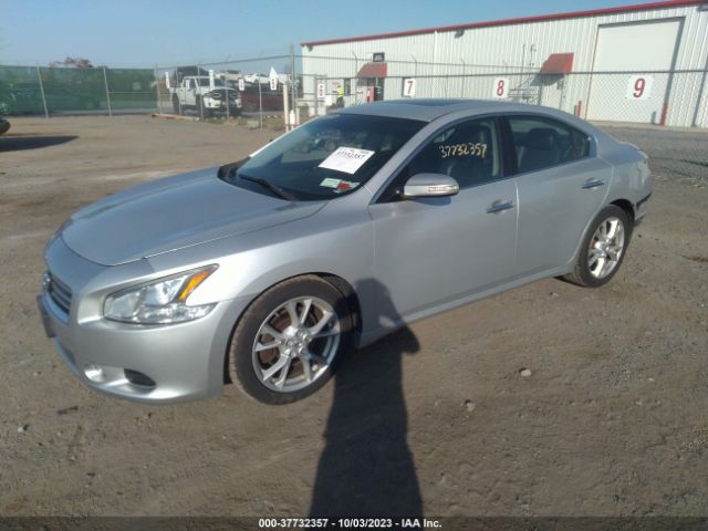 1N4AA5AP1EC443294 Nissan Maxima 3.5 Sv