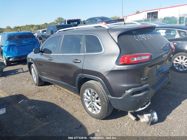 Jeep Cherokee Limited 2015 1C4PJMDS3FW604534 Image 3