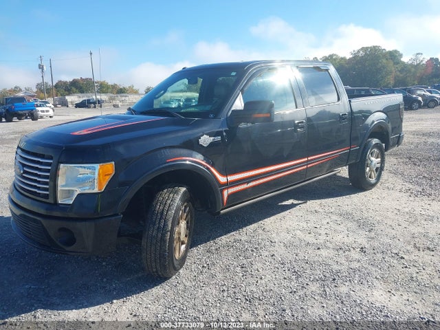 2011 Ford F-150 Harley-davidson მანქანა იყიდება აუქციონზე, vin: 1FTFW1E66BFB39271, აუქციონის ნომერი: 37733079