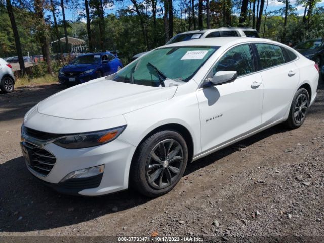 2020 CHEVROLET MALIBU 1G1ZD5ST6LF101263 Photo 1