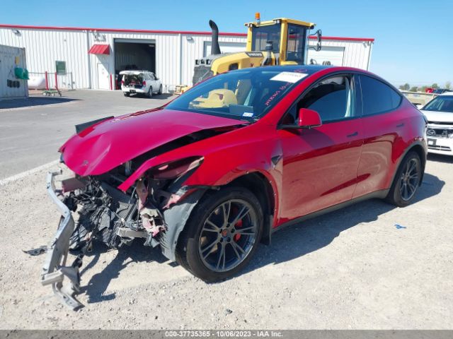 2021 TESLA MODEL Y 5YJYGDEE7MF144646 Photo 1