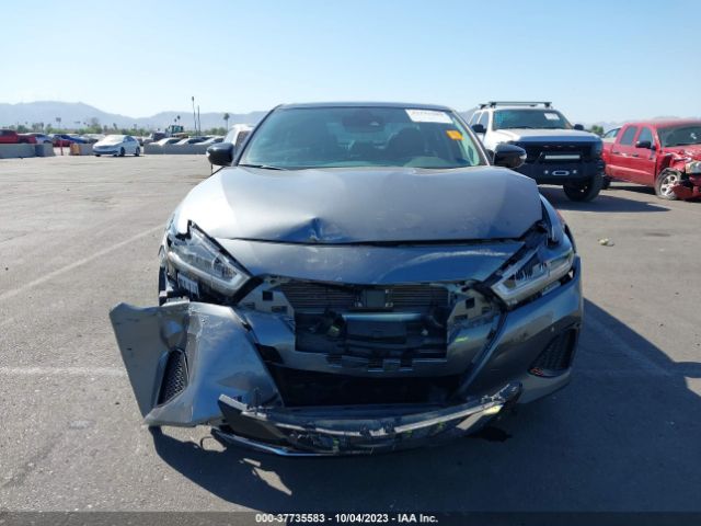1N4AA6DV2LC384639 Nissan MAXIMA SL