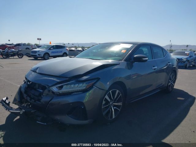 1N4AA6DV2LC384639 Nissan MAXIMA SL