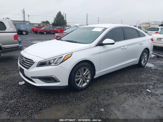 Hyundai Sonata 2.4l Se 2016 5NPE24AF7GH260208 Image 2