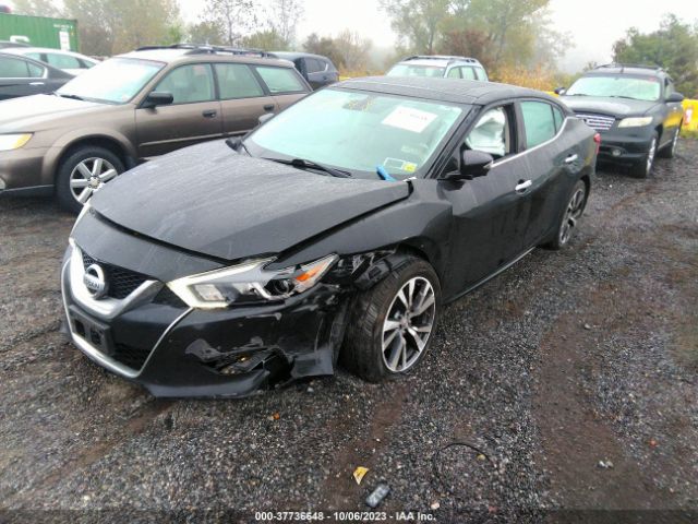 1N4AA6AP0HC423452 Nissan Maxima Platinum