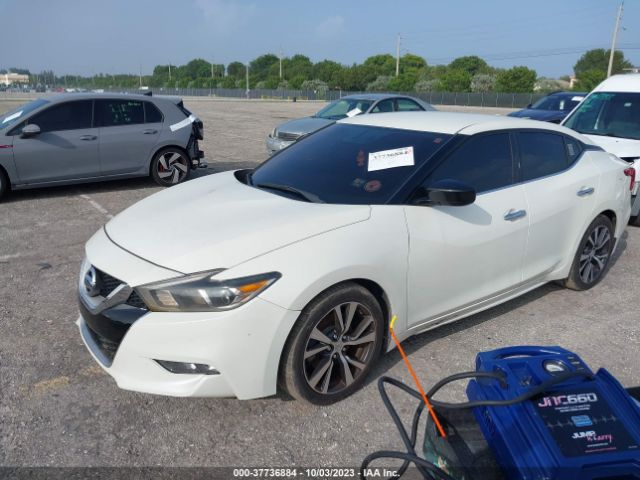1N4AA6AP8HC416183 Nissan MAXIMA S