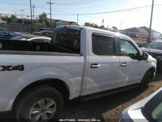 1FTEW1EG1HFA12358 Ford F-150 Xl/xlt/lariat