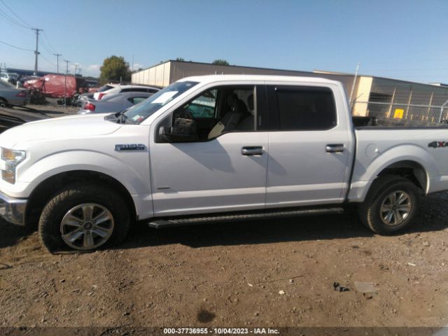1FTEW1EG1HFA12358 Ford F-150 Xl/xlt/lariat