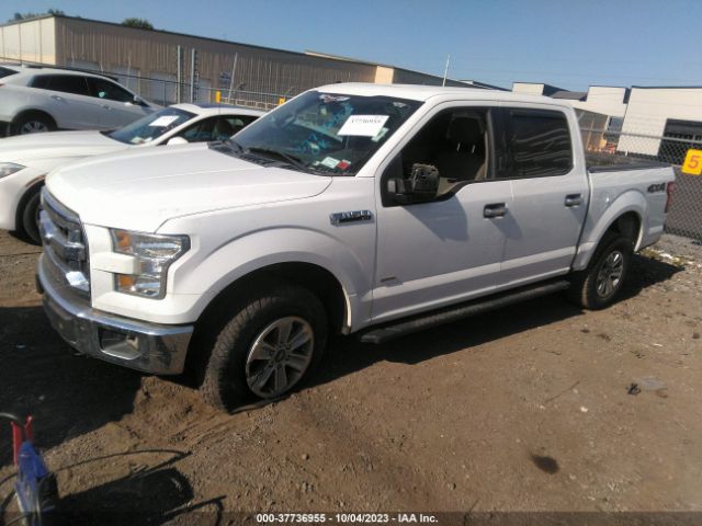1FTEW1EG1HFA12358 Ford F-150 Xl/xlt/lariat