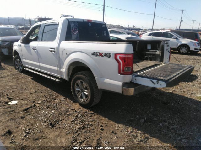 1FTEW1EG1HFA12358 Ford F-150 Xl/xlt/lariat