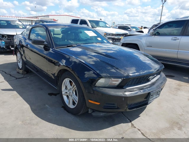 2012 FORD MUSTANG V6 VIN: 1ZVBP8AM2C5256309