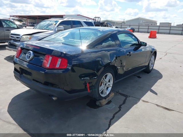 2012 FORD MUSTANG V6 VIN: 1ZVBP8AM2C5256309