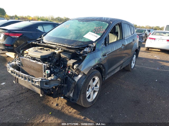 Ford ESCAPE SE 2016 1FMCU9G93GUB08573 Image 2