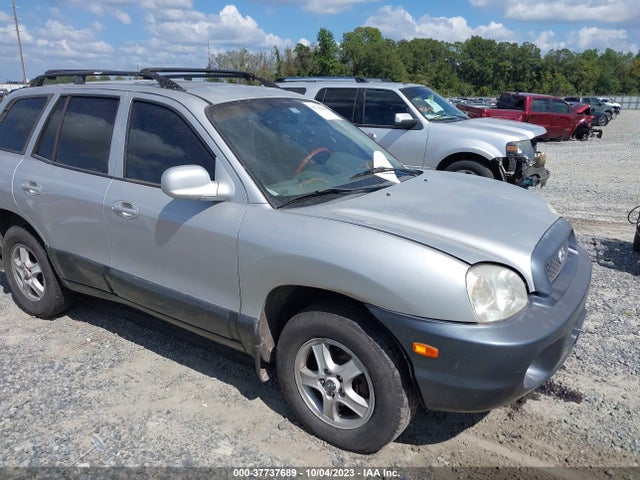 2004 HYUNDAI SANTA FE GLS/LX VIN: KM8SC73E24U628779