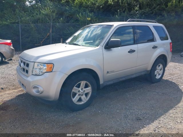 2009 FORD ESCAPE 1FMCU59389KA32381 Photo 1