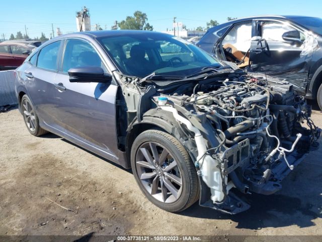 19XFC1F33LE213058 auction archive image