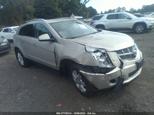 2010 CADILLAC SRX LUXURY COLLECTION VIN: 3GYFNDEY7AS630670