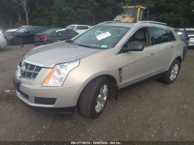 2010 CADILLAC SRX LUXURY COLLECTION VIN: 3GYFNDEY7AS630670