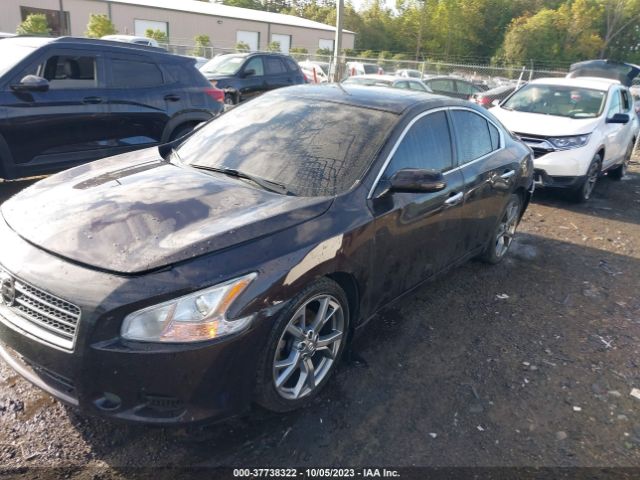 1N4AA5APXEC462832 Nissan Maxima 3.5 Sv W/sport Pkg