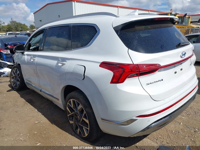 2023 HYUNDAI SANTA FE CALLIGRAPHY VIN: 5NMS5DALXPH483100