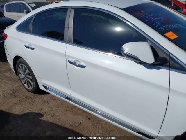 5NPE34AF4GH343592 Hyundai Sonata Sport