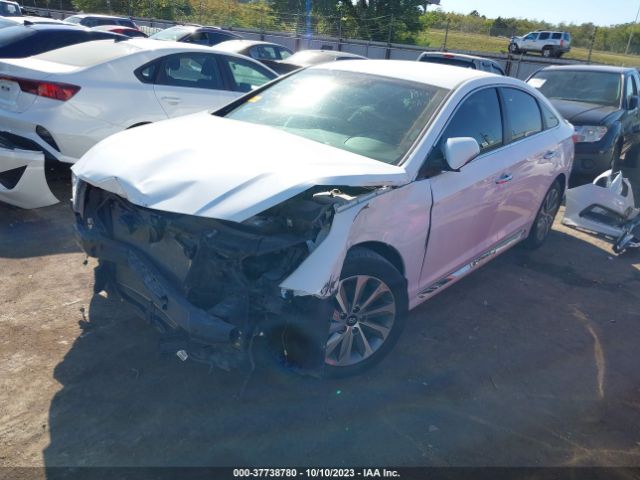5NPE34AF4GH343592 Hyundai Sonata Sport