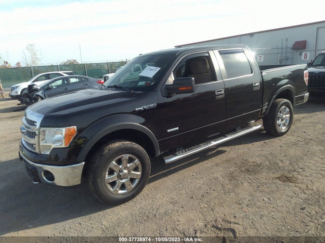 2013 FORD F-150 1FTFW1ET3DFA36236 Photo 1