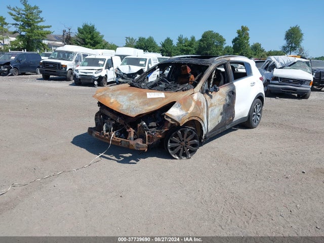 KIA Sportage Ex 2017 KNDPNCAC3H7034009 Image 2