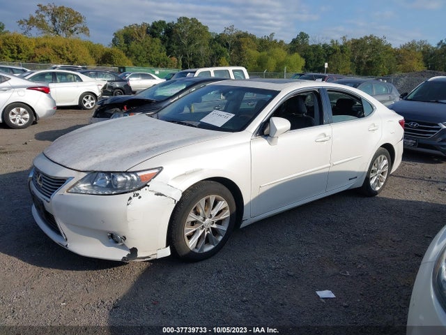 JTHBW1GG3F2093379 Lexus Es 300h Hybrid