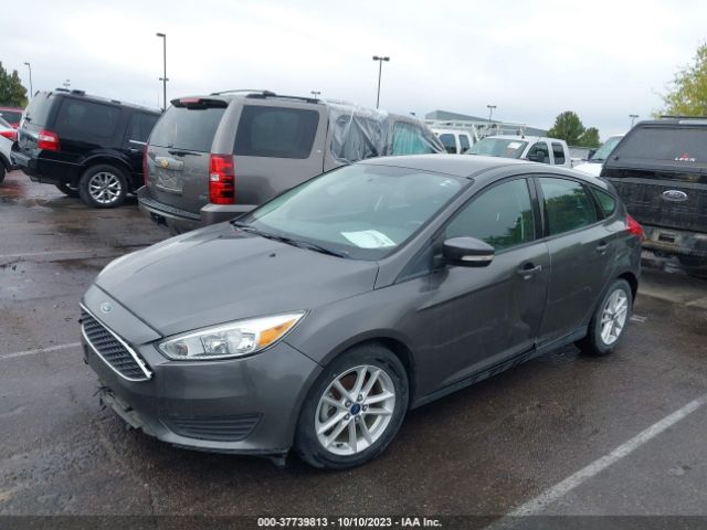 1FADP3K28FL341236 Ford FOCUS SE