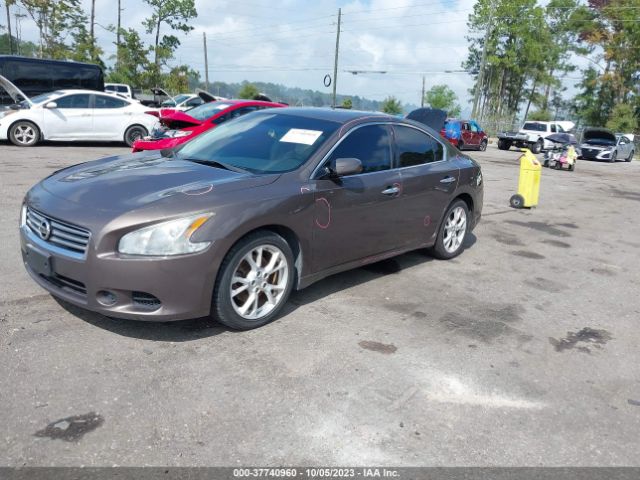1N4AA5AP3EC479665 Nissan Maxima 3.5 S