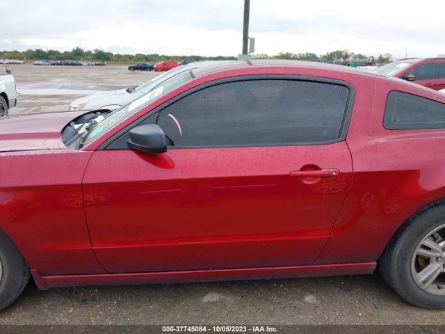 1ZVBP8AM1E5275324 Ford Mustang V6