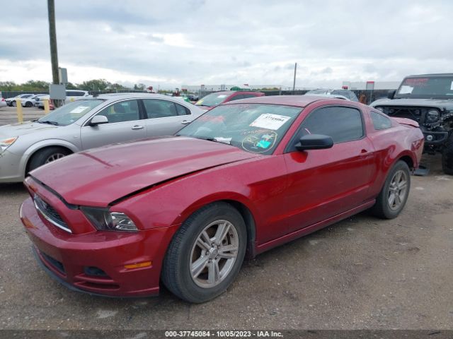 1ZVBP8AM1E5275324 Ford Mustang V6