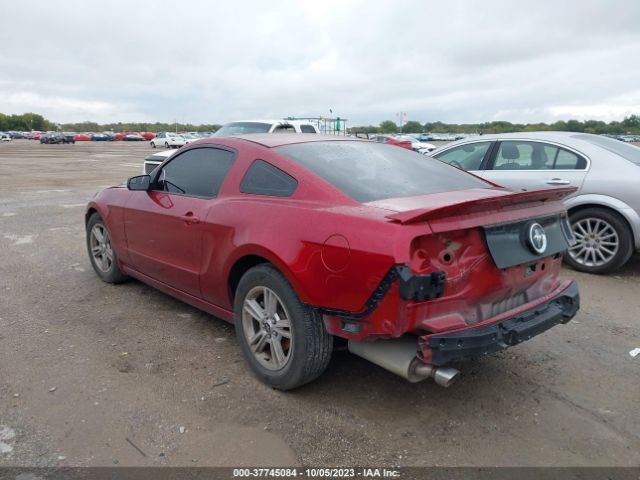 1ZVBP8AM1E5275324 Ford Mustang V6