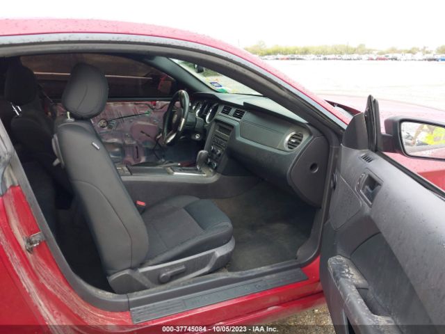1ZVBP8AM1E5275324 Ford Mustang V6