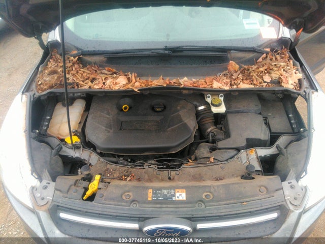 Ford ESCAPE SE 2014 1FMCU0G9XEUB12368 Image 10