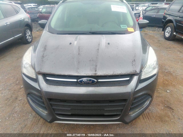 Ford ESCAPE SE 2014 1FMCU0G9XEUB12368 Image 12