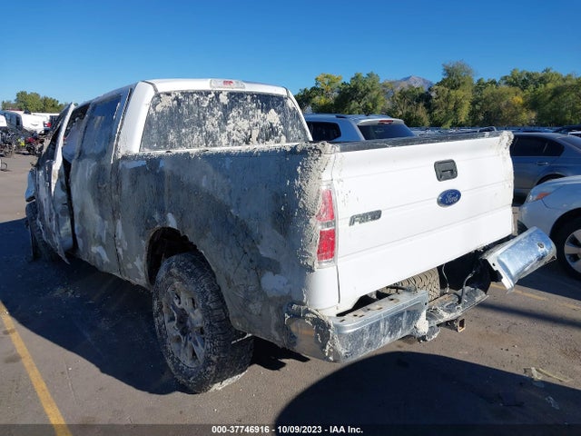 Ford F-150 Xlt 2014 1FTFW1ET9EFB50906 Image 3
