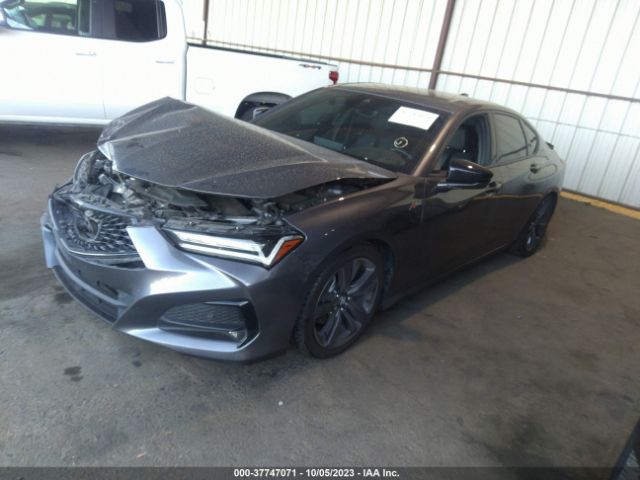 19UUB5F5XNA003907 Acura Tlx A-spec Package
