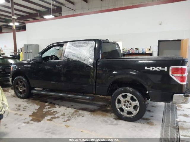 1FTFW1EF6EFC79177 Ford F-150 Xl/xlt/stx/fx4/lariat