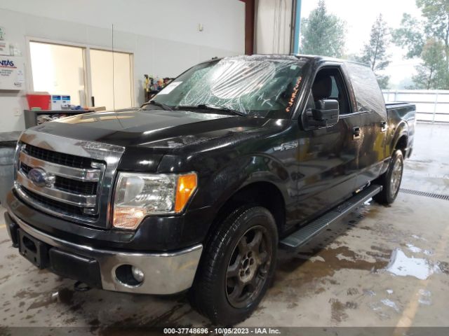 1FTFW1EF6EFC79177 Ford F-150 Xl/xlt/stx/fx4/lariat