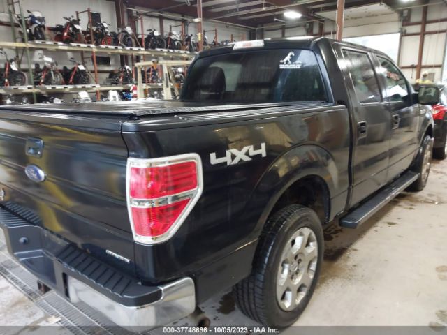 1FTFW1EF6EFC79177 Ford F-150 Xl/xlt/stx/fx4/lariat