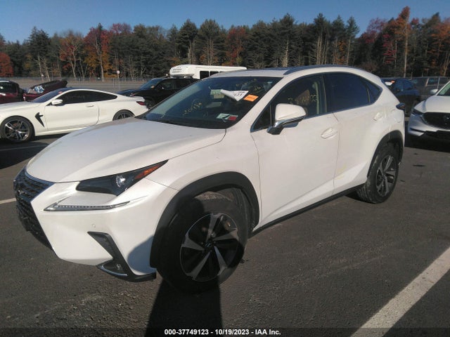 JTJBARBZ4K2213950 Lexus Nx Nx 300