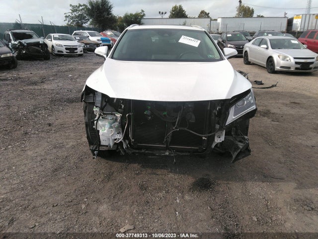 2019 Lexus RX, VIN: JTJDZKCA6K2020765