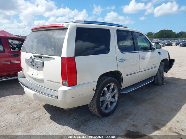 2009 CADILLAC ESCALADE VIN: 1GYFC13299R149031