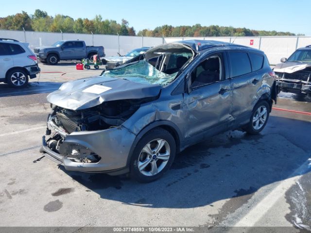 1FMCU0F77EUE52173 Ford ESCAPE S
