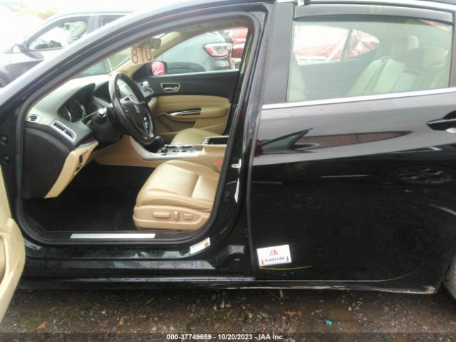 19UUB1F38KA009465 Acura TLX