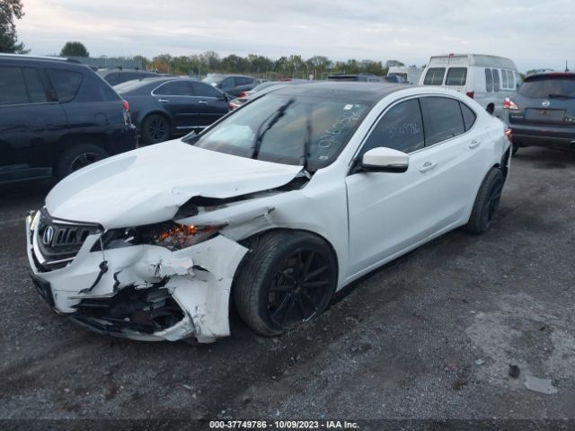 19UUB2F34FA026050 Acura Tlx V6